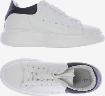 CAFÈNOIR Sneakers & Trainers in 38 in White: front