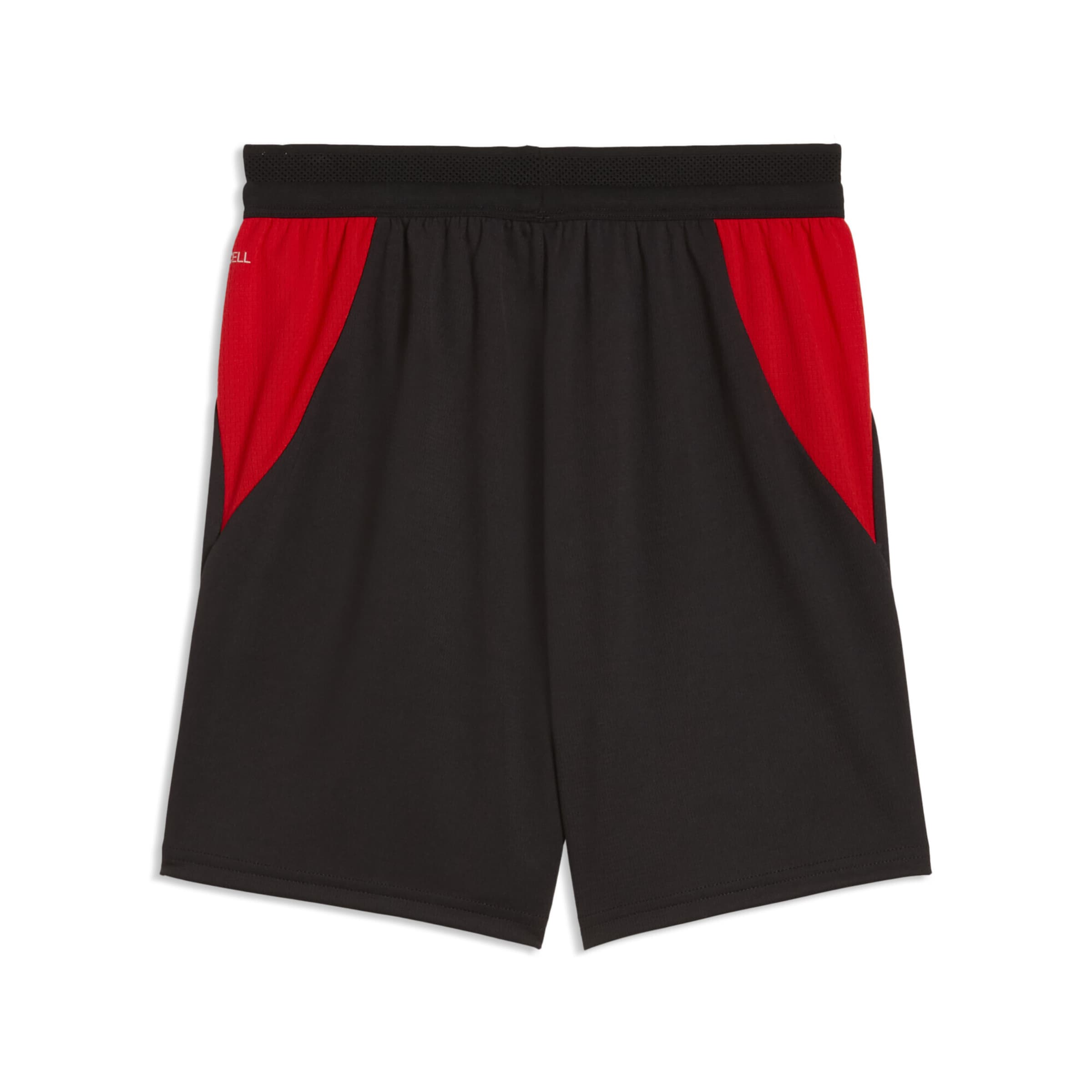 PUMA Regular Sports trousers 'Österreich 2026 ' in Black