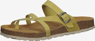 COSMOS COMFORT T-Bar Sandals in Yellow