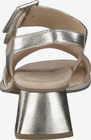 Sandalo con cinturino di Paul Green in oro
