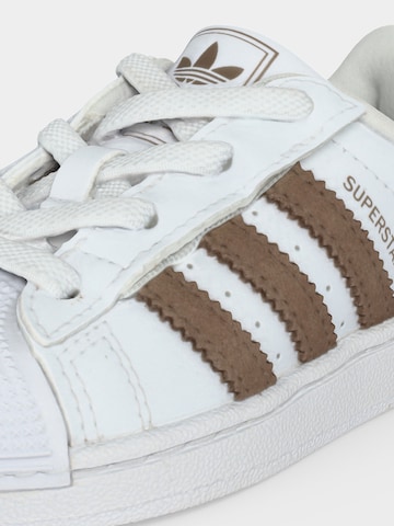 ADIDAS ORIGINALS Tenisky 'SUPERSTAR II CF' - Biela