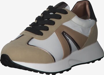 Alexander Smith Sneakers in Mixed colors: front