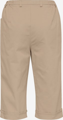 Goldner Regular Pants 'CARLA' in Brown