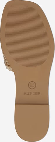 smėlio STEVE MADDEN Šlepetės 'GENE'