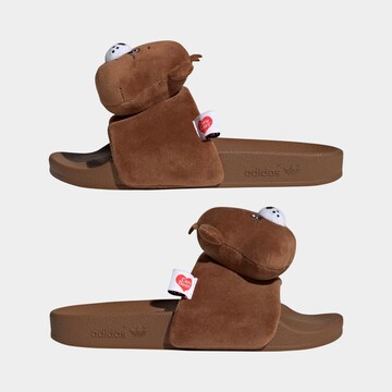ADIDAS ORIGINALS Mules in Brown