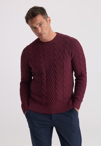 Felix Hardy Pullover in Rot: Vorderseite