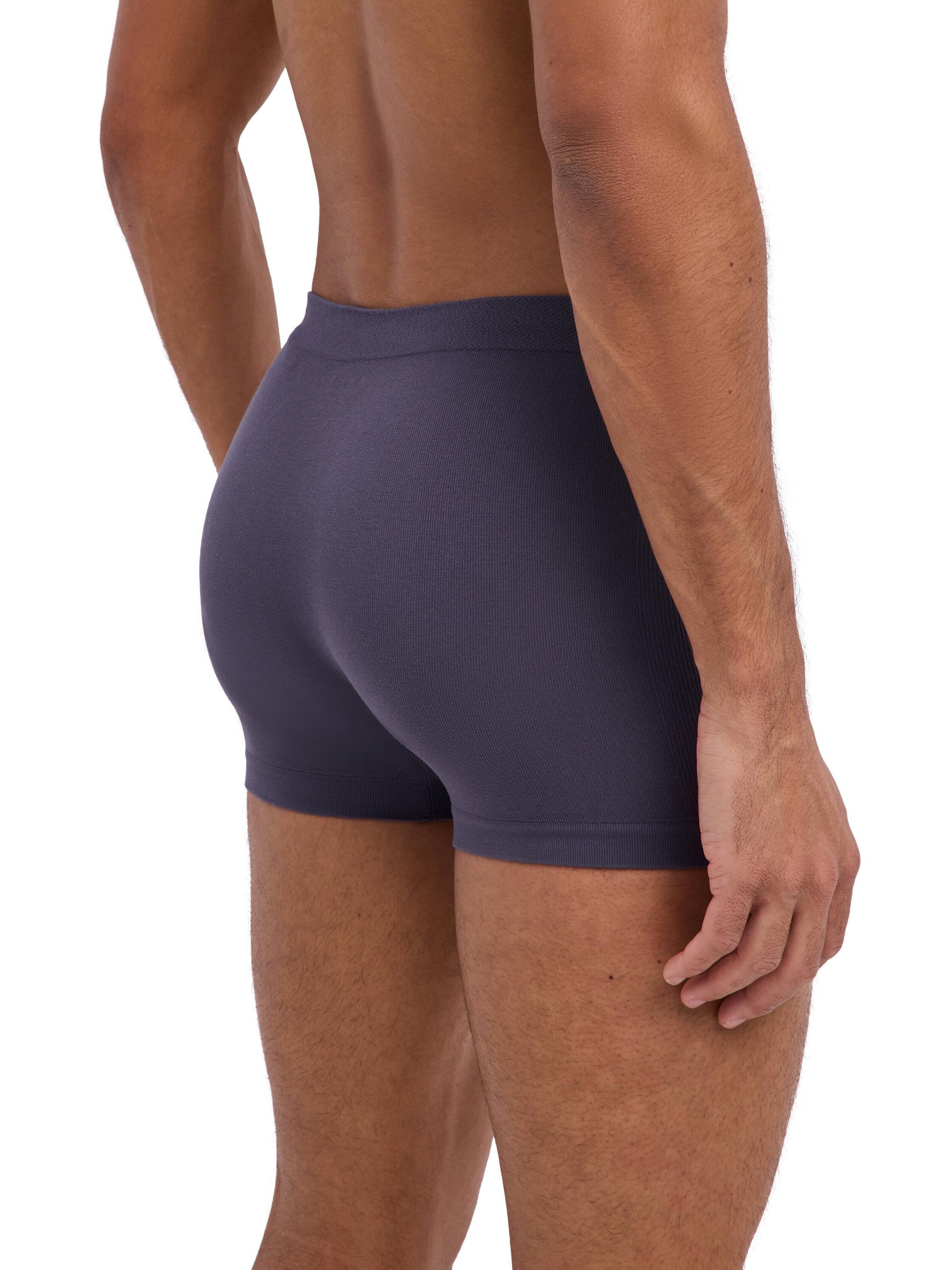 FALKE Boxershorts 'Seamless'‌‌‌‌‌‌‌ in Grau