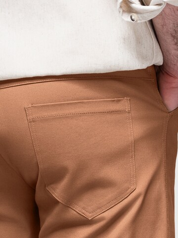 Ombre Regular Cargo Pants in Brown