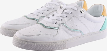 D.MoRo Shoes Sneakers 'Yuzzeroiki' in White: front