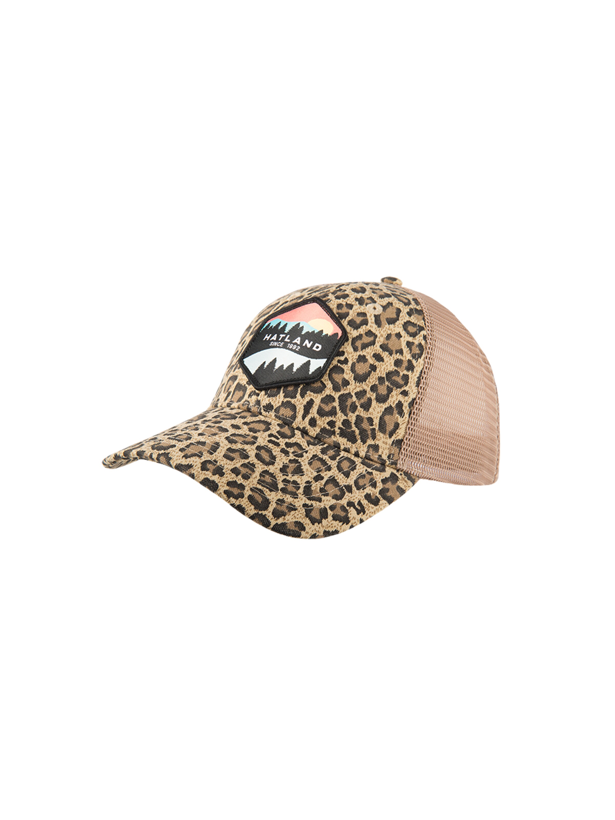 Hatland Cap 'Walt' in Brown: front
