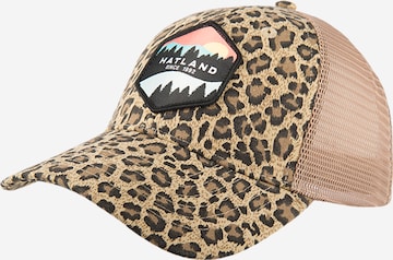 Hatland Cap 'Walt' in Braun: Vorderseite
