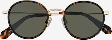 Superdry Eyewear Sunglasses in Black: front