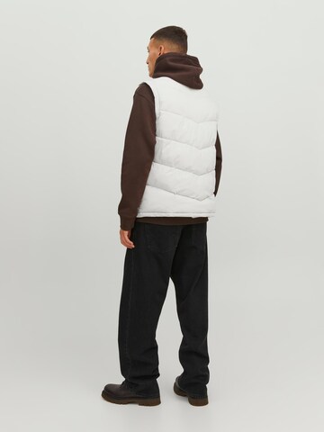 JACK & JONES Bodywarmer 'Vesterbro' in Beige