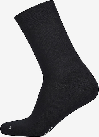 Chaussettes 'Air Plush' Hudson en bleu : devant
