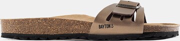 Bayton Mules 'Athena' in Brown