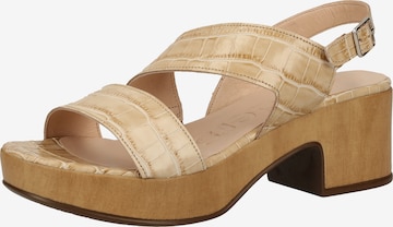 Wonders Strap Sandals in Beige: front