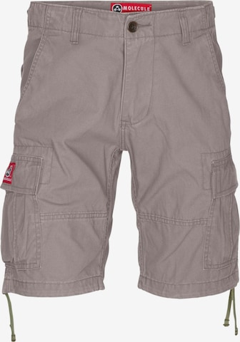 Molecule regular Cargobukser i grå: forside