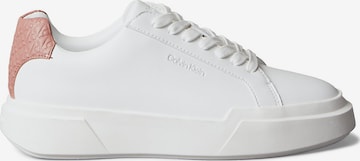 Calvin Klein Низкие кроссовки в Белый: спереди