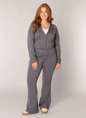 BASE LEVEL CURVY Flared Pants 'Allie' in Grey