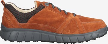 Ganter Sneakers in Brown