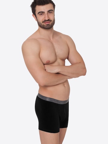 celodoro Boxershorts 'Elastix'‌‌‌‌‌‌‌ in Schwarz