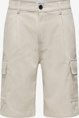 Only & Sonsregular Cargo hlače 'ONSBOLOGNA' - siva boja: prednji dio