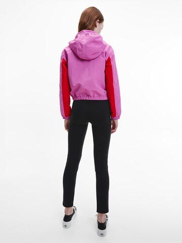 Calvin Klein Jeans Jacke in Pink