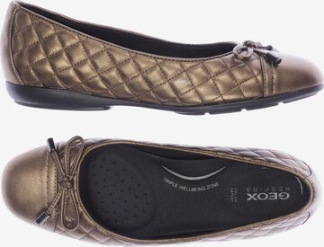 GEOX Flats & Loafers in 35 in Brown: front
