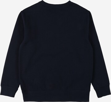 Polo Ralph Lauren Sweatshirt in Blue