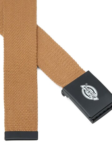 DICKIES - Cinturón 'ORCUTT' en marrón