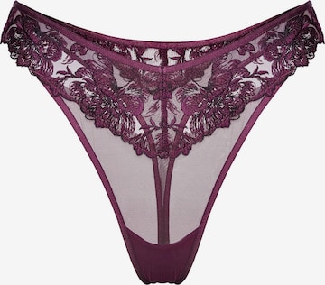 ESOTIQ Thong 'Majtki stringi MELODIE Esotiq | ciemno-fioletowy L' in Brown: front