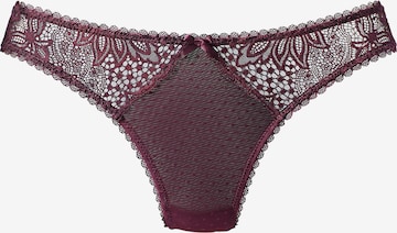 VIVANCE String i lilla: forside