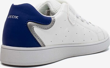GEOX Sneakers 'J Eclyper A - Vit.Sint.' in White