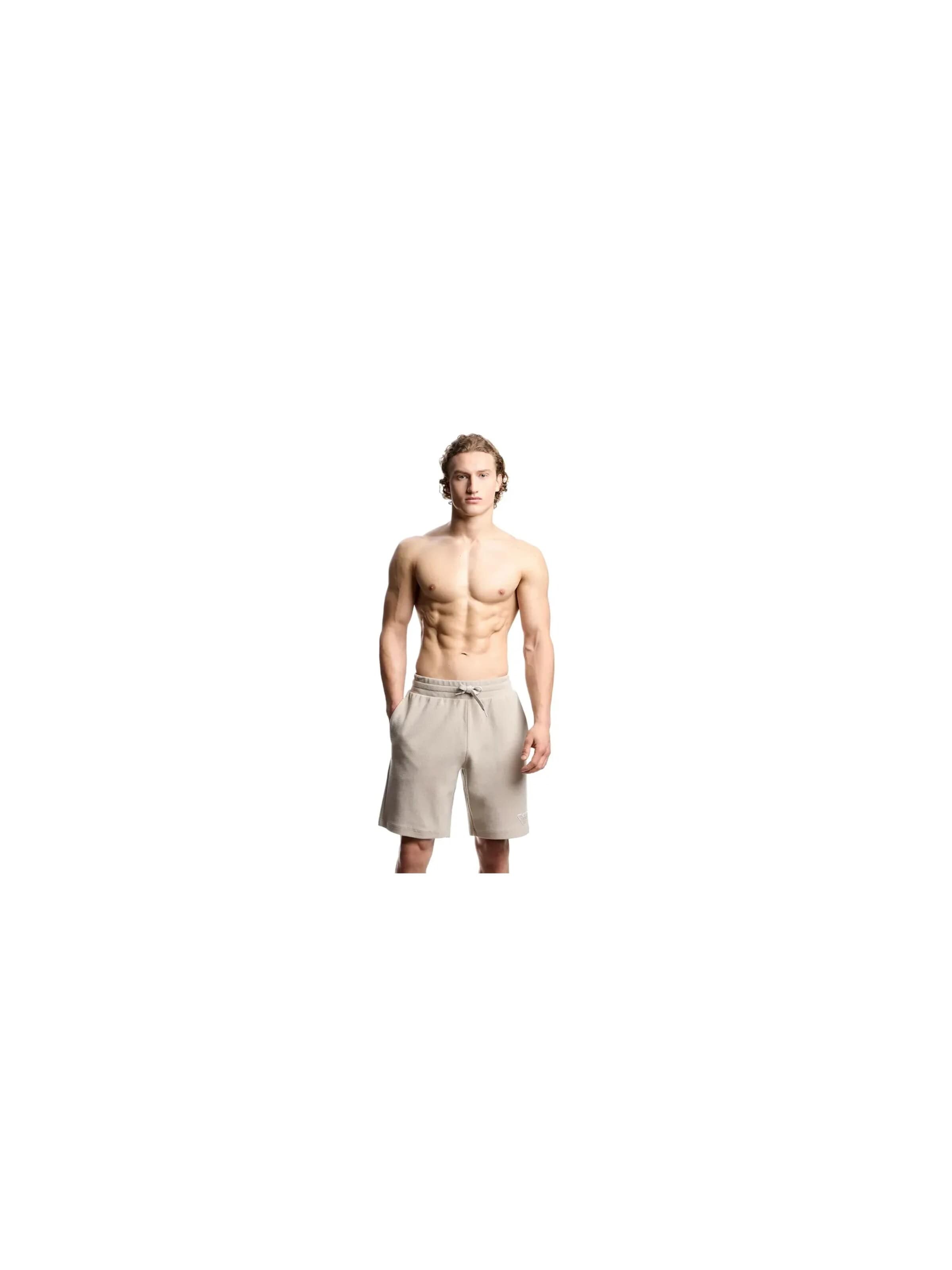 ARMANI - regular Vaquero 'eagle GA' en gris: frente