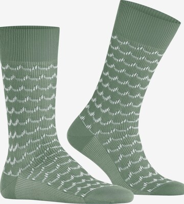 FALKE Socks 'Sea Rock' in Green: front
