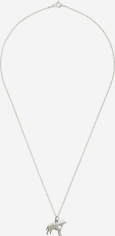 Gemshine Ketting in Zilver: voorkant