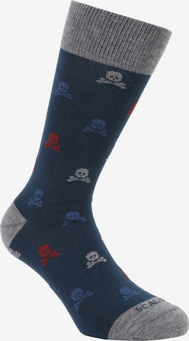 Chaussettes Scalpers en bleu