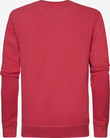 Sweat-shirt Petrol Industries en rouge