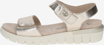 CAPRICE Sandalen met riem in Goud