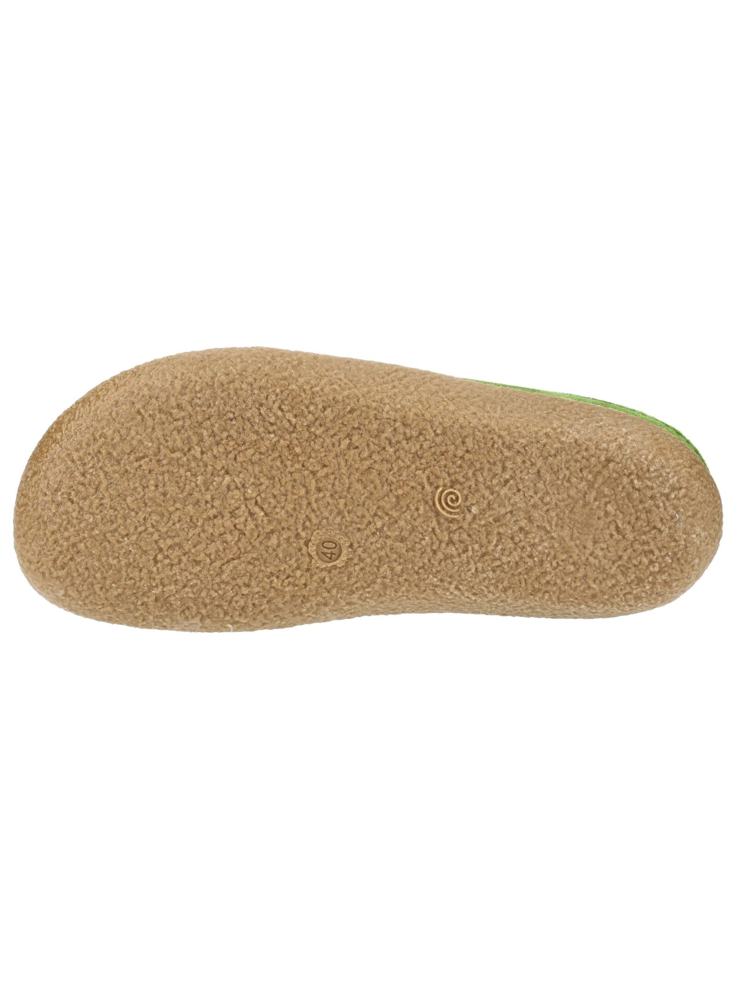 HAFLINGER Huisschoenen in Groen