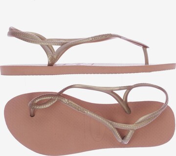 HAVAIANAS Sandals & High-Heeled Sandals in 39 in Brown: front