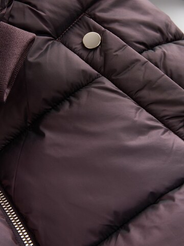 Next - Chaqueta de invierno en marrón