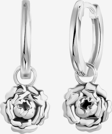 Lucardi Earrings in Silver: front