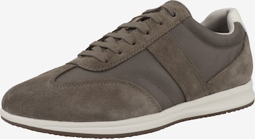 Baskets basses 'Avery' GEOX en gris : devant