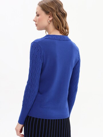 Passioni Sweater in Blue