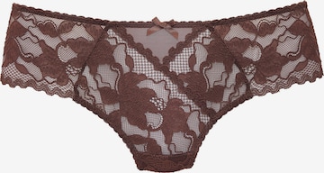 LASCANA Thong in Brown: front