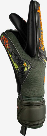 REUSCH Sporthandschoenen 'Attrakt Grip Evolution' in Oranje