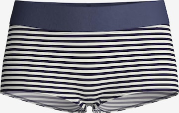 CALIDA Boyshorts 'Elastic Special' in Blue: front