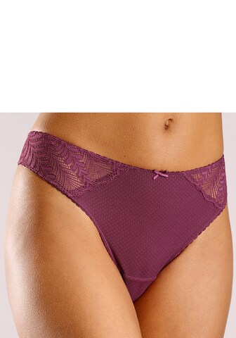 LASCANA Panty in Purple: front