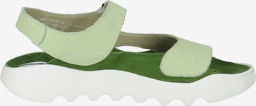 Softinos Sandale in Grün